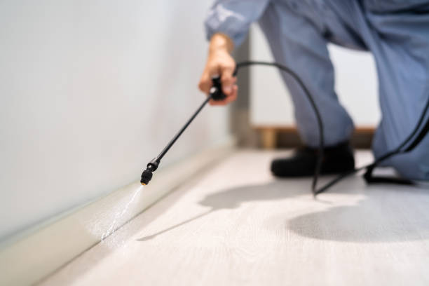 Licensed Pest Control service in Loudonville, OH - Show Me Pest Control