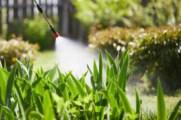 Tamper-Resistant Bait Stations for Rodents in Loudonville