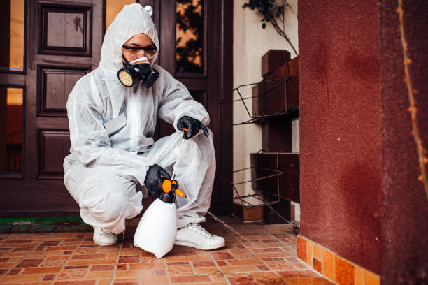 Attic and Crawl Space Rodent Treatment in Loudonville