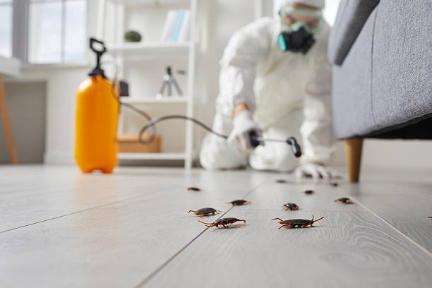 Commercial Rodent Management in Loudonville
